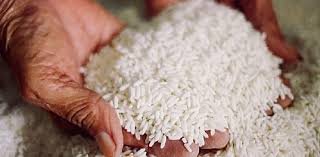 Polished Rice